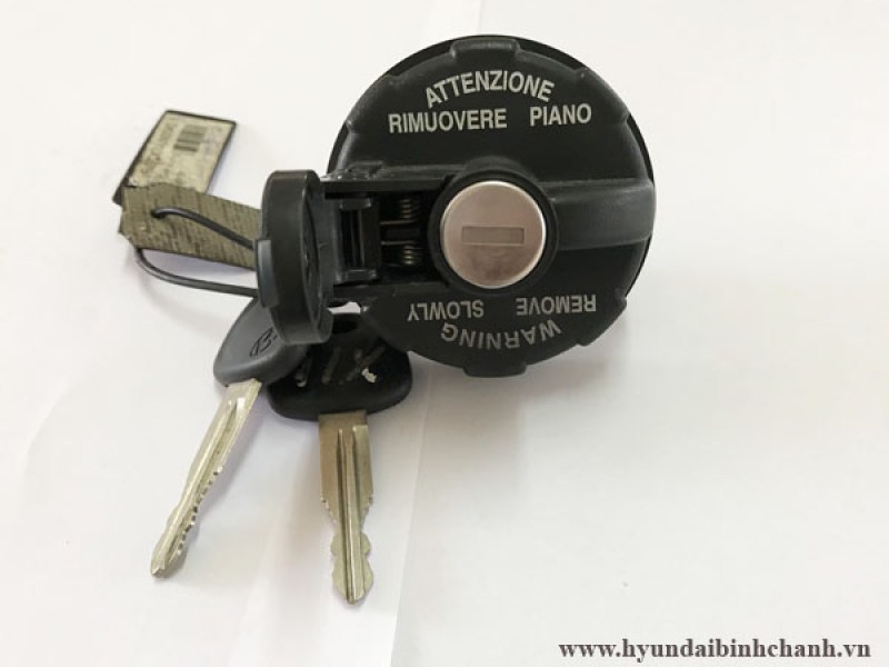 Nap dau hyundai n250